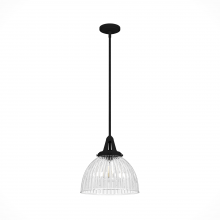 Hunter 19249 - Hunter Cypress Grove Natural Black Iron with Clear Holophane Glass 1 Lt Pendant Ceiling Lt Fixture
