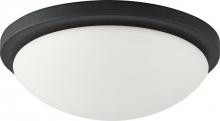 Nuvo 60/2943 - 1-Light Dome Flush Mount Lighting Fixture in Textured Black Finish with White Glass and (1) 18W GU24